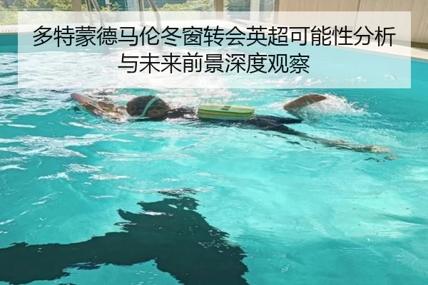 多特蒙德马伦冬窗转会英超可能性分析与未来前景深度观察