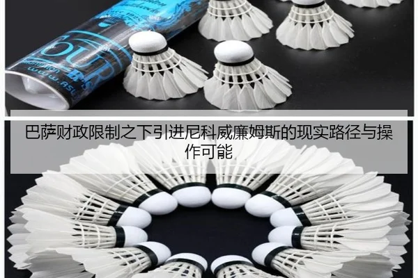 巴萨财政限制之下引进尼科威廉姆斯的现实路径与操作可能 | kaiyun